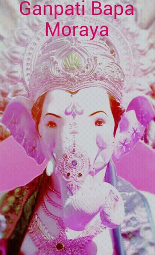 wp-1473151620141 image